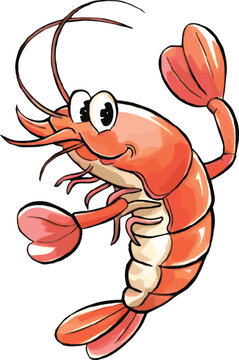 Naklejki Watercolor vector of a cartoon shrimp, isolated on a white background, shrimp animation vector