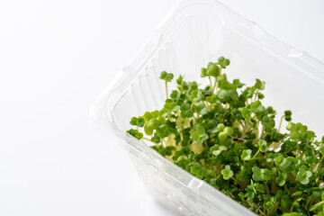 白背景にブロッコリースプラウト