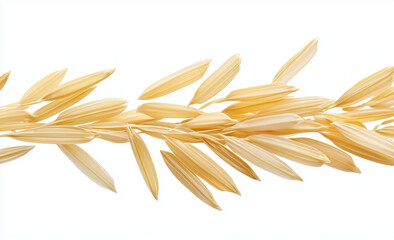 ears of rice