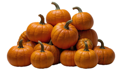Pile of harvest pumpkins with PNG transparent background for fall and halloween designs
