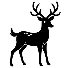deer illustration
