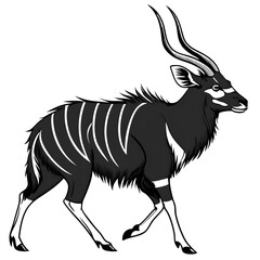 image of an antelope