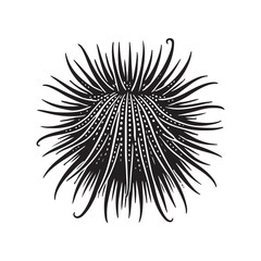 Obraz premium Sea Urchin Silhouette Vector Illustration, Solid White Background.