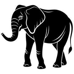 elephant isolated on white