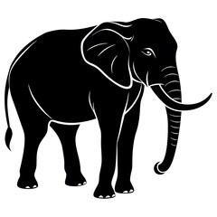 elephant isolated on white background