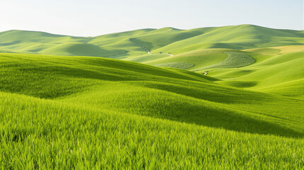 Fototapeta premium Beautiful green hills covered in lush grass with soft sunlight, blue sky in the background. Concept of nature, tranquility, and landscapes. Ai generative
