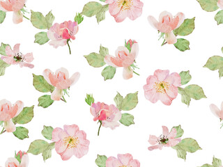 watercolor blossom pink old rose clair martin english rose flower bouquet horizontal seamless pattern