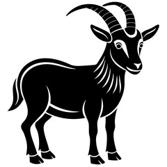 black and white goat