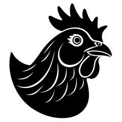 rooster isolated