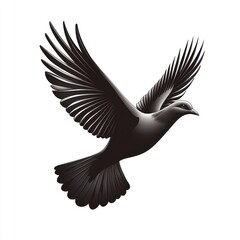 Obraz premium Black dove in flight, isolated on white.