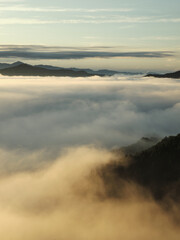 Obraz premium 朝の光で色がつく