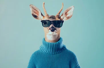  A fashionable deer wearing sunglasses and a sweater © paper later
