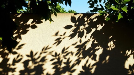 Leaf shadows creating a beautiful and natural pattern on a grey cement background, background, cement