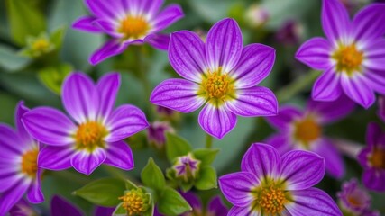 A close-up shot of vibrant purple flower petals and delicate green leaves, with a focus on the intricate details and texture, summer, bloom, purple