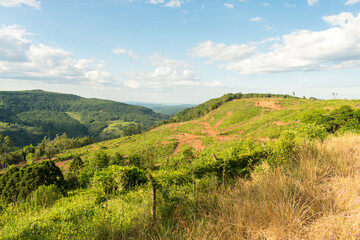 Mountain landscape with native forest and deforestation from timber harvesting in Sao Francisco de Paula, South of Brazil