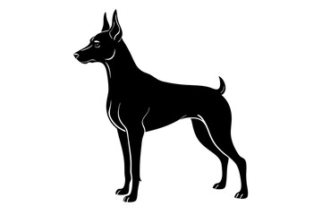 Doberman Silhouette Vector Illustration of a Sleek Dog Standing Tall with Alert Ears