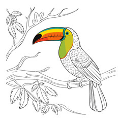 Toucan bird in cartoon doodle style. Elegant line drawing of summer toucan bird. Toucan bird on branch. Cute vector illustration in logo, icon art design with color splashes in glitch style.