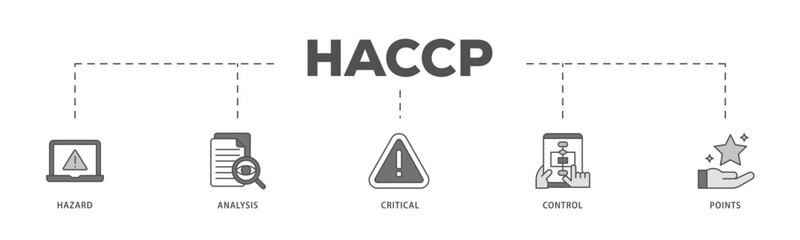 HACCP infographic icon flow process which consists of hazard analysis and critical control points acronym in food safety management system icon live stroke and easy to edit .