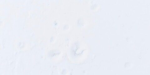 Fototapeta premium Fresh, untouched snow covering the ground, creating a textured background for winter-themed designs, natural, pristine