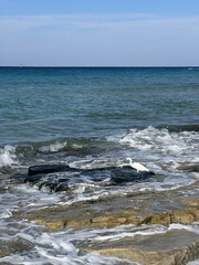 A tranquil scene of waves gently crashing against a rocky shore, all under a beautifully clear sky overhead