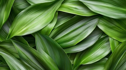 Fototapeta premium Gentle breeze rustling leaves nature closeup serene environment