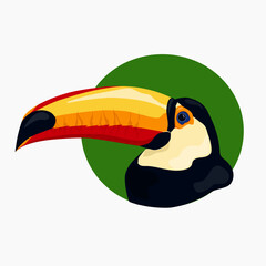 toucan on a green background