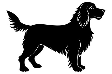 Cocker Spaniel Silhouette Vector Illustration of a Dog Standing with Floppy Ears and Feathered Legs