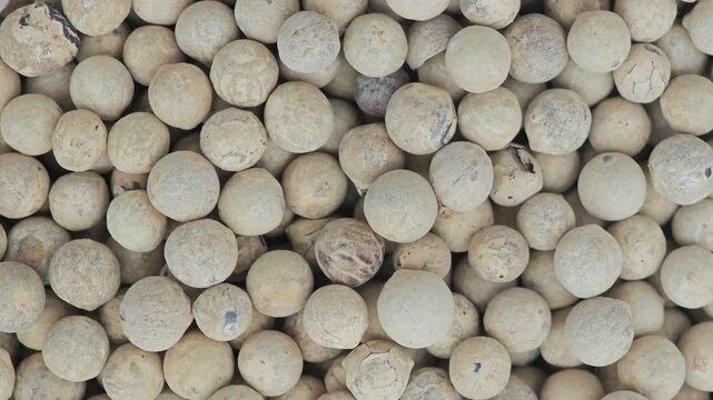 White peper seed.