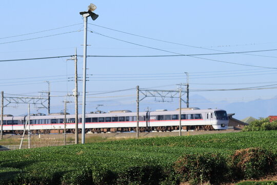 狭山茶の茶畑を駆け抜ける西武10000系特急「小江戸」_2020/11/14撮影