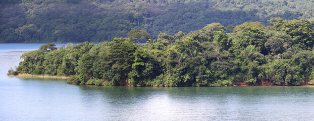 Vegetation of tropical island on fresh water lake