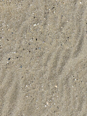 A detailed close up view of a sandy surface showing footprints in it
