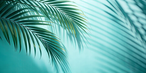 Lush green palm leaves extend gracefully against a soft turquoise backdrop, creating a tranquil atmosphere with delicate shadows and light interplay