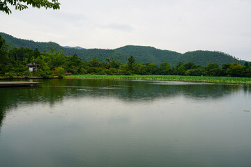 大覚寺大沢の池周囲の風景