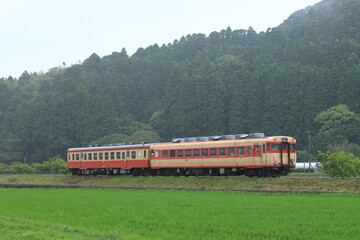  いすみ鉄道キハ52・キハ28_2021/6/6撮影