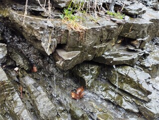 Kropla drąży skałę.