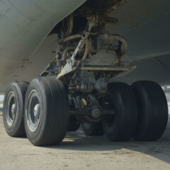 Close up of large transport plane wheels on tarmac, highlighting their scale and intricate metal components under the aircraft