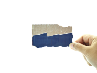 Female hand holding Shredded paper isolated on white background.