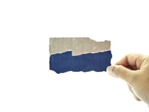 Female hand holding Shredded paper isolated on white background.
