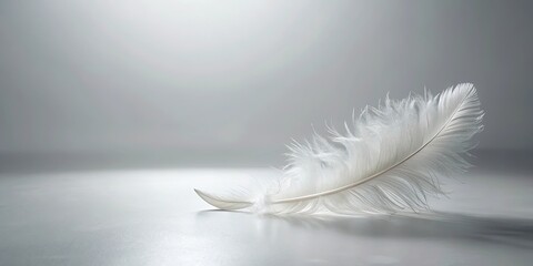 Obraz premium A single, delicate white feather rests gently on a smooth, light gray surface, illuminated by soft, diffused light.