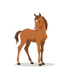 A modern flat design illustration of a graceful, elegant horse foal with refined features, isolated on a white background