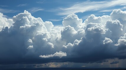 Fototapeta premium A vast expanse of fluffy white cumulus clouds gather in the sky, creating a dramatic contrast against the deep blue backdrop, hinting at the potential for a powerful storm