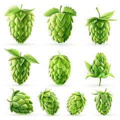 Hop cones icon, beer brewery symbol, humulus lupulus flower cones, hop plant beer manufacturing ingredient