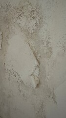 Schimmel an der Wand Farbe löst sich ab