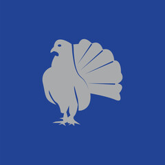 The pigeon design is hand drawn with Illustrator