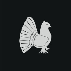 The pigeon design is hand drawn with Illustrator