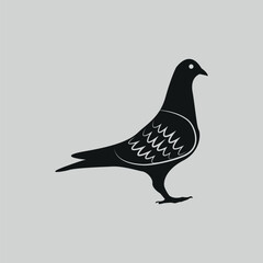 The pigeon design is hand drawn with Illustrator