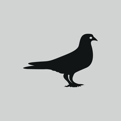 The pigeon design is hand drawn with Illustrator