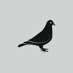 The pigeon design is hand drawn with Illustrator