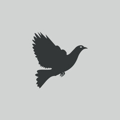 The pigeon design is hand drawn with Illustrator