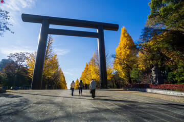 靖国神社　銀杏